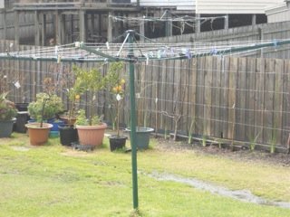 clothesline