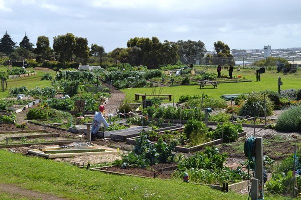 garden_4