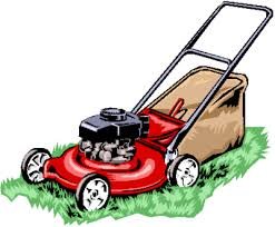 lawn