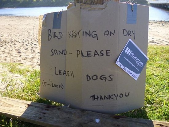 cardboard sign