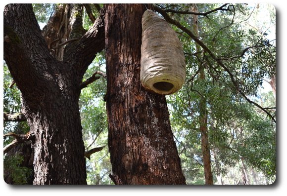 lyons sculpture_64