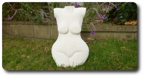 win-sculp