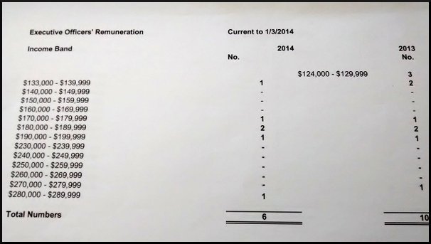 anson remuneration