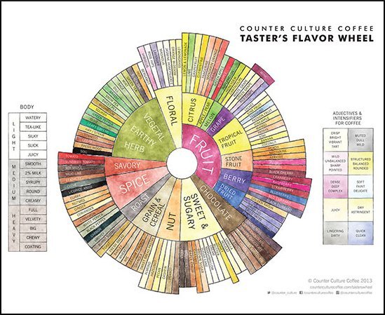 flavour wheel