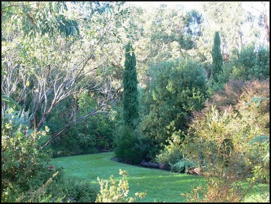 Timandra looking south 1500 x 1125