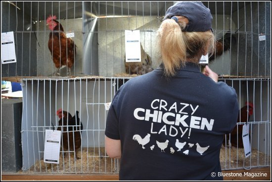 chicken auction