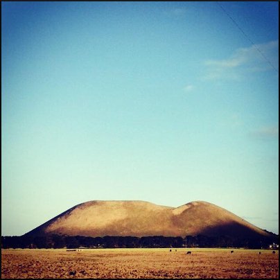 mt elephant cheyanne ainsworth