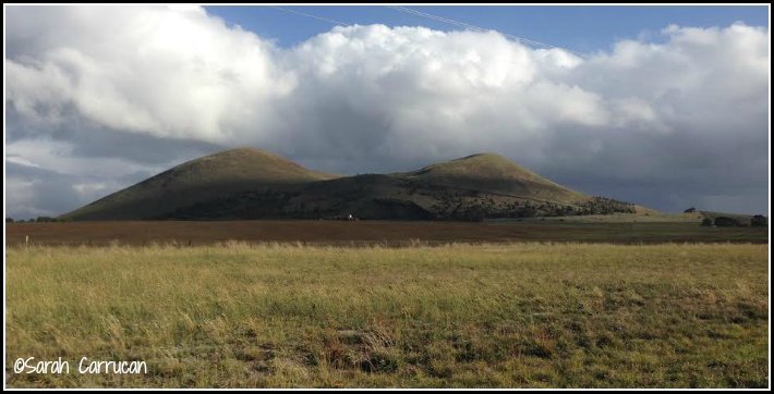 mt elephant from car1