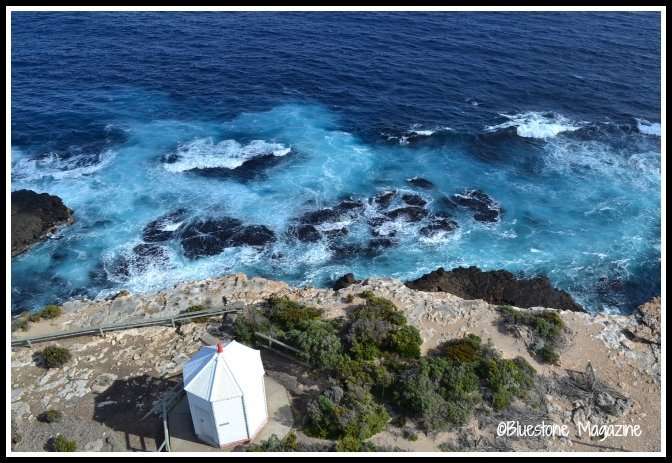 cape nelson_view