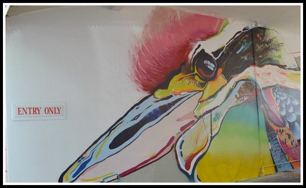 pye mural artery