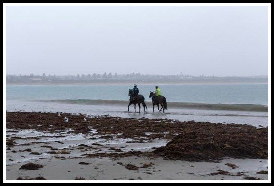 sav-and-dhaafer-at-beach