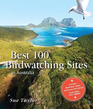 bird watching