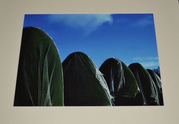 peter clayfield_14