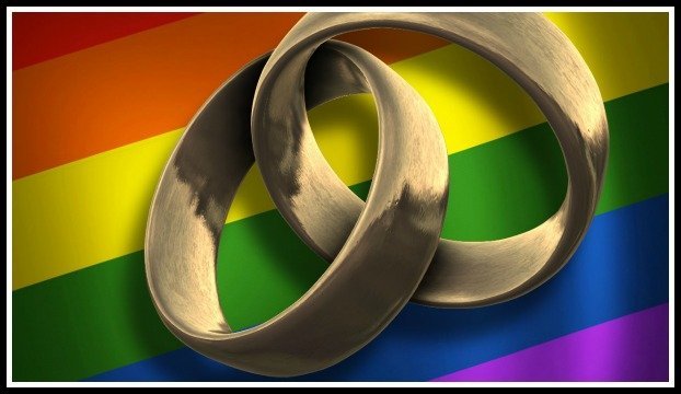 gay_marriage_rings