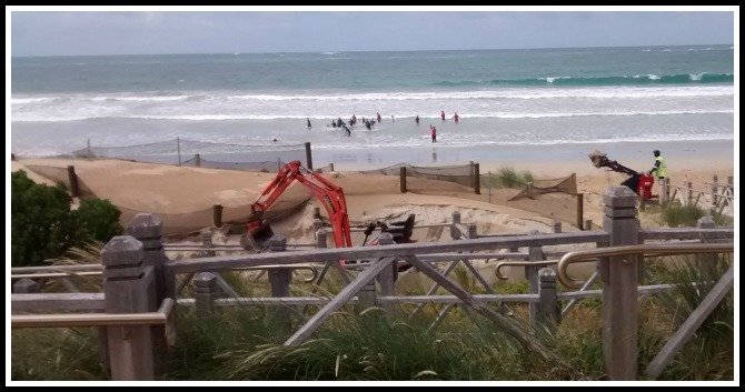 sand removal