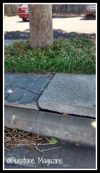 tree pavement carpark