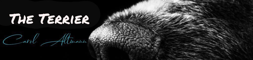 The Terrier – Carol Altmann
